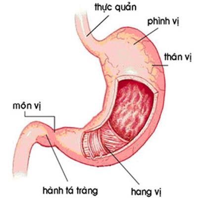 Triệu chứng của bệnh viêm xung huyết hang vị dạ dày