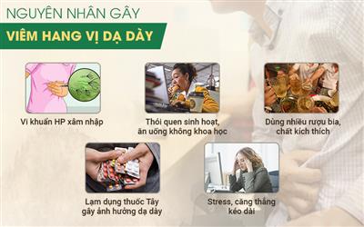 Thuốc chữa bệnh viêm loét xung huyết hang vị dạ dày